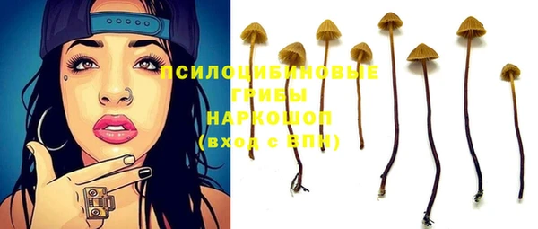 mdpv Алзамай